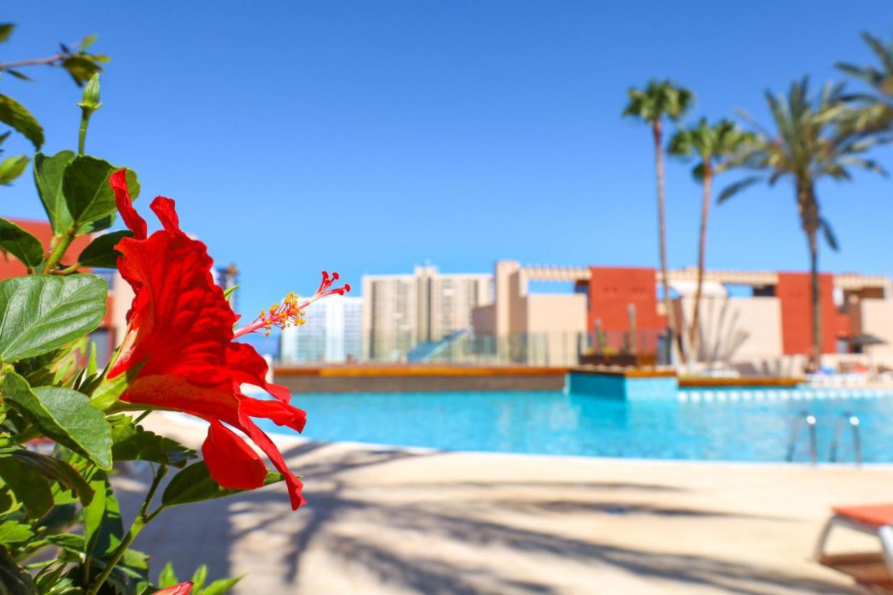 Chill In Paradise Playa Paraiso  Exterior photo